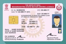 DRIVING LICENCE